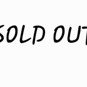 Women Brand new Flying Pig Slippers